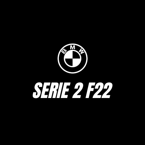 Serie 2 F22